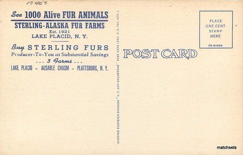 1940s Sterling Alaska Fur Farms Lake Placid New York Teich postcard 3960 