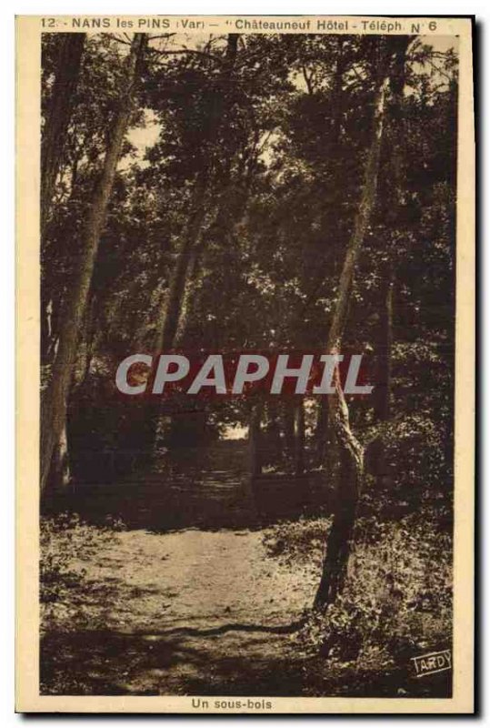 Old Postcard Nans les Pins Vans Chateauneuf Hotel Teleph