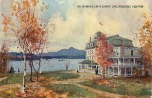 c1910 New York Adirondack Mtns Algonquin Lower Saranac Lake  Postcard 25-11529