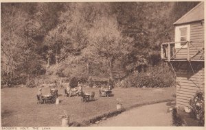 Badgers Holt The Lawn Food Dartmoor 1929 Visitor Postcard