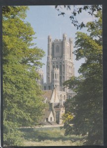 Cambridgeshire Postcard - Ely Cathedral   T6961