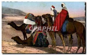 Old Postcard Scenes types North Africa Southbound Camel Camel