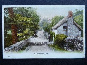 Devon Country Life (1) c1903 Postcard sent to 39 VICTORIA ROAD KENSINGTON LONDON