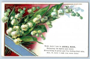 Anoka Minnesota MN Postcard Flower Embossed Leaves Exterior 1910 Antique Vintage