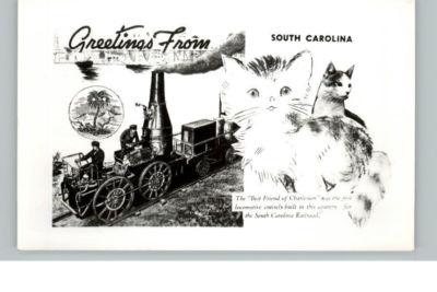 SC Cats Train Postcard