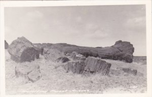 Arizona Scene In The Petrified Forest Real Photo