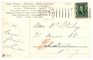 Dog, Mother with puppies