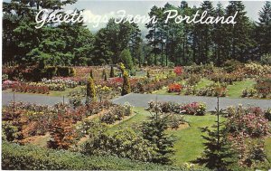 Greetings From Portland Oregon Experimental Rose Gardens
