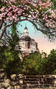 Virginia Hot Springs The Homestead The Tower 1941 Handcolored Albertype