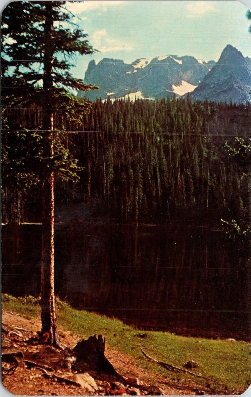 Little Matterhorn Rocky Mountain National Park Colorado Scenic Chrome Postcard 