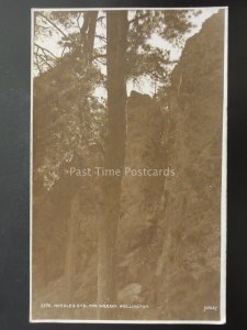 Telford & Wrekin WELLINGTON The Needles Eye c1915 RP Postcard by Judges 3370