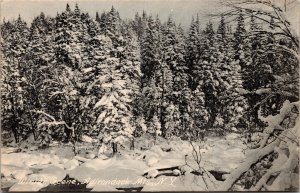 Postcard New York Winter Scene in the Adirondack Mountains Rotograph 1911 V148