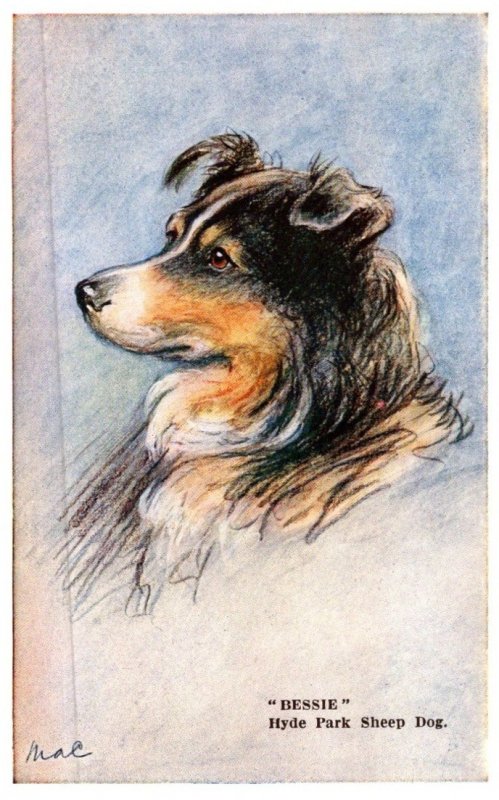 Dog , Hyde park Sheep Dog   ,   artist Signed Mac