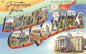 Greetings from North Carolina USA Large Letter Unused 