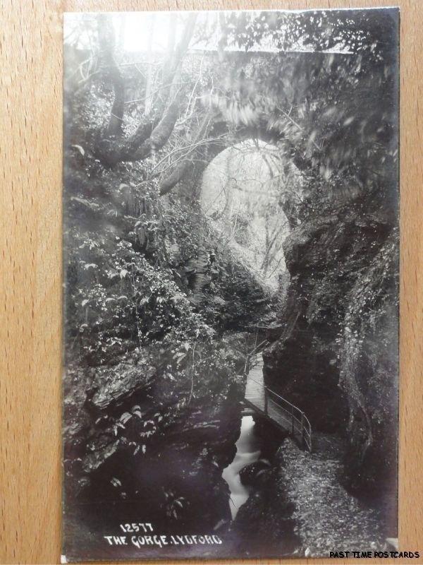 c1914 RPPC - The Gorge - Lydford - Devon 