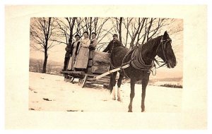 Horse pulling wagon , Collecting Sap