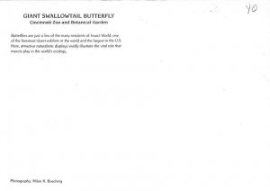 Cincinnati Zoo, Cincinnati, Ohio  