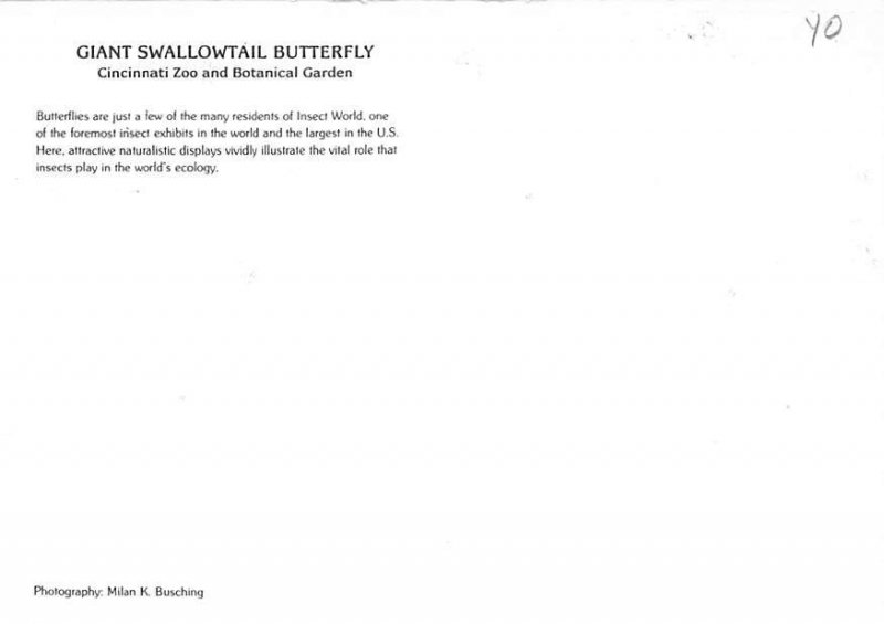 Cincinnati Zoo, Cincinnati, Ohio  