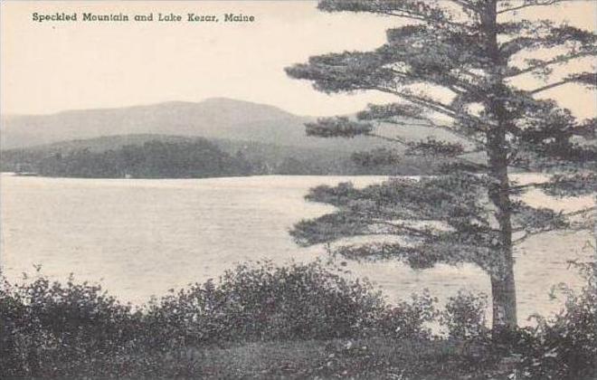 Maine Lake Kezar Speckled Mountain And Lake Kezar Albertype