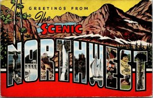 Vtg Scenic Northwest Large Letter Greeting from 1940s Unused Linen Postcard
