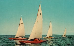 White Sails Bluewater and Good Breeze Sail Boats Ocean Waters Vintage Postcard