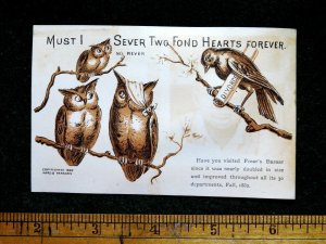 1882 Anthropomorphic Owls, Family Crow Divorce Frear's Victorian Trade F34