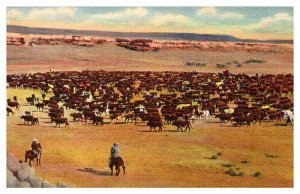 Postcard FARM SCENE State Of Wyoming WY AP2624