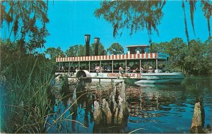 Postcard Florida Weeke Wachee River Cypress Knees Florida Natural 23-8992