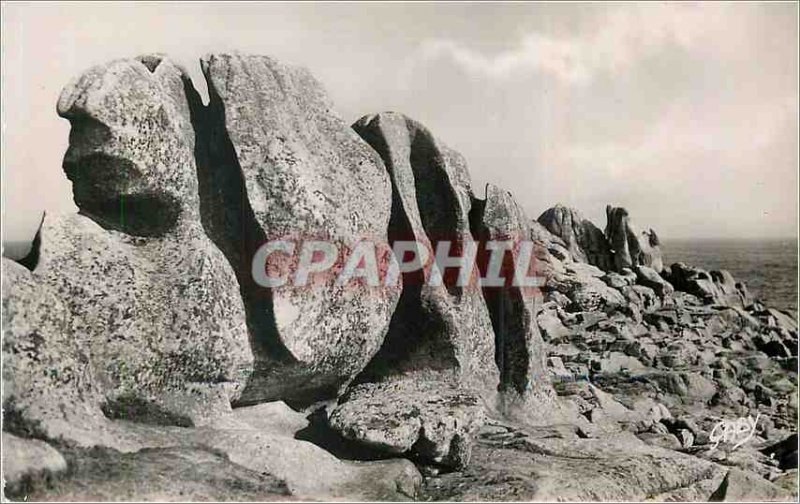 Postcard Modern Lesconil (Finistere) Beg Ar Guelec Year Troon