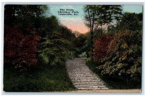 c1910s The Steps Scene Cherokee Park Louisville Kentucky KY Unposted Postcard 