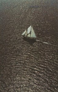 America Postcard - Sailing Out of Provincetown, Cape Cod, Massachusetts RS24158