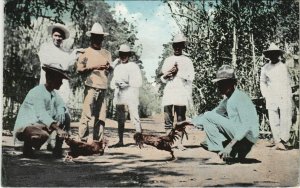 PC PHILIPPINES, MANILA, COCK FIGHTING, Vintage Postcard (b39115)