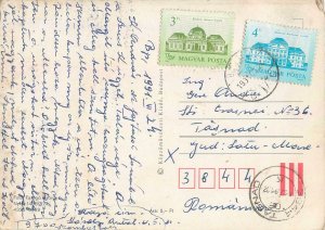 Red Gladiolus Postcard