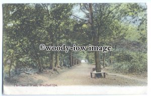 tq0308 - Lincs - The Church Walk and Tree Seat, at Woodhall Spa - postcard