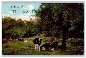 Utica Illinois Postcard Scene Near Exterior View Cow Field c1910 Vintage Antique