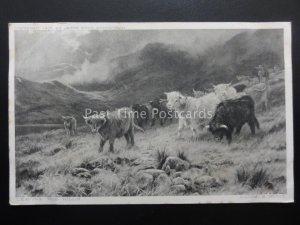 HIGHLAND CATTLE LEAVING THE HILLS Art by Louis Hunt c1905 Postcard by Jesse Boot