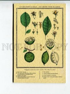 3172669 ADVERTISING Lime Water PERRIER vintage Card