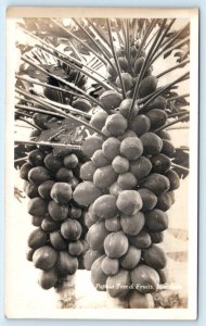 RPPC HONOLULU, HI Hawaii ~ PAPAYA TREE & FRUIT  c1930s Postcard
