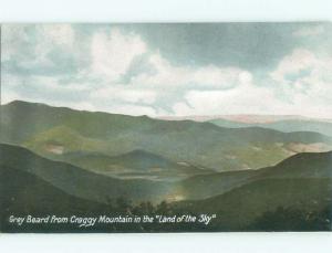 Divided-Back RUSTIC SCENE Ivy North Carolina NC W6325