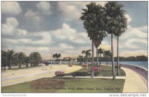 Florida Tampa Bayshoe Boulevard Along Tampa Bay Curteich