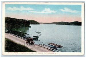 c1910 Moody Road & Island Looking Up The Lake Tupper Lake New York NY Postcard