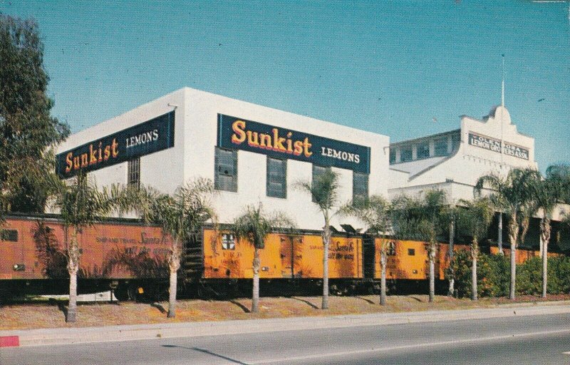 GLENDORA , California ,1950-60s ; SUNKIST lemon packing House