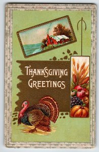 Thanksgiving Day Greetings Postcard Turkey Cottage Home Series 33A Vintage 1912