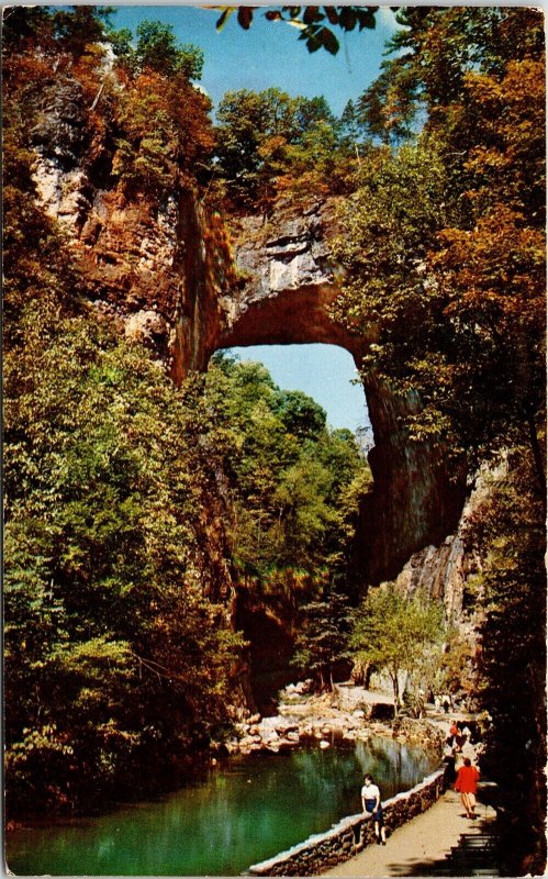 Natural Bridge Virginia VA Postcard PM Jacksonville Beach FL Cancel WOB Note VTG