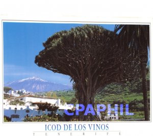 Postcard Modern ICOD DE LOS VINOS Tenerife