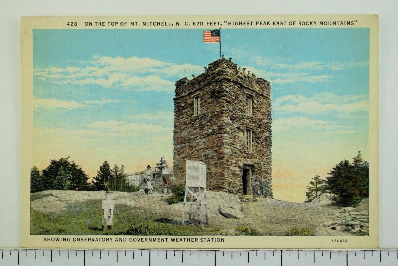 On the Top of Mt. Michell, N. C. Rocky Mountains Vintage Postcard P58