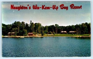 COOK, Minnesota MN ~ Roadside NAUGHTON'S WA-KEM-UP BAY Resort c1960s  Postcard