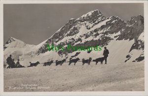 Switzerland Postcard - Dog Sled Team, Jungfraubahn, Jungfraujoch   RS36698