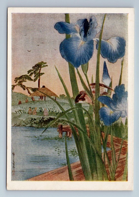 1957 IRISES woodcut by Japan Artist Shōtei Japanese Print Art Vintage Postcard