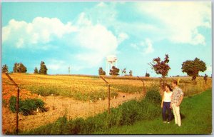 Postcard Georgetown Ontario c1960s Dominion Seed Company Water Tower